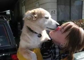 消消乐吃鸡手游 