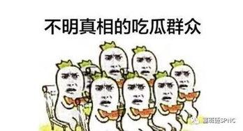随风电视剧免费观看全集高清版