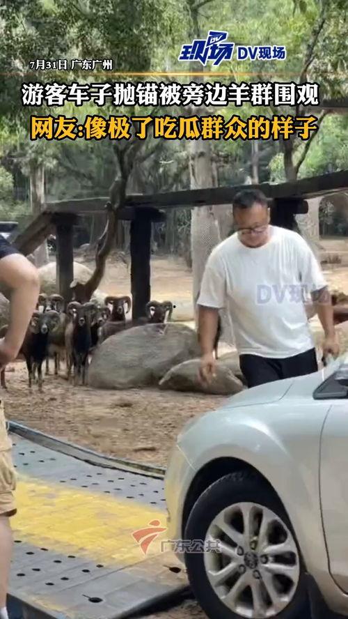 央基电子图片处理