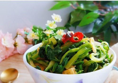 菠菜教练
